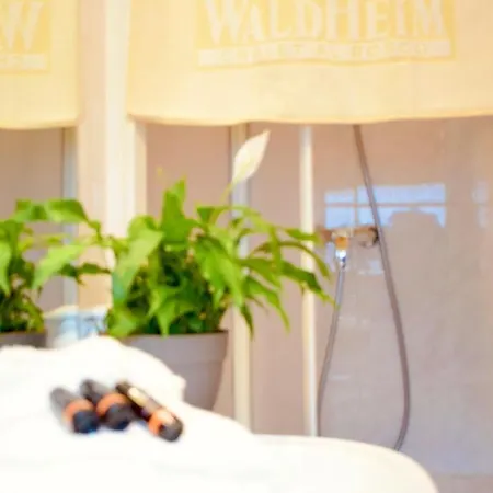 Hotel Waldheim