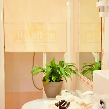 Waldheim Hotel Sarnonico